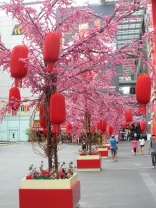 CNY decorations