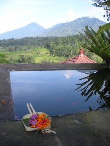 View of central Bali