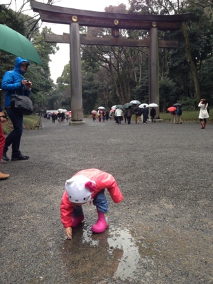 Impressive Torii gate