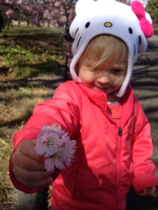 Ren and cherry blossoms